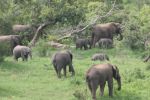safrica_dec_13_image2.jpg